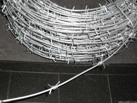 单股刺绳又称为单丝刺绳、带刺的铁丝、铁丝刺绳。是由全自动化的刺绳机拧编而成，单股刺绳的编织特点：单根钢丝或铁丝经刺绳机编制而成，施工简便、外观美观、耐腐蚀抗氧化、经济实用。单股刺绳常用材质：优质的低碳